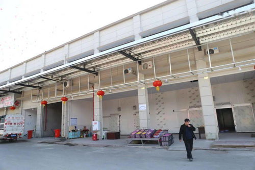 華南農產品批發市場春節銷售創佳績，金屬及金屬礦批發業務亮點頻現