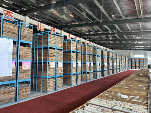 山東黃金探明國內(nèi)最大單體金礦床，交出高質(zhì)量發(fā)展新答卷